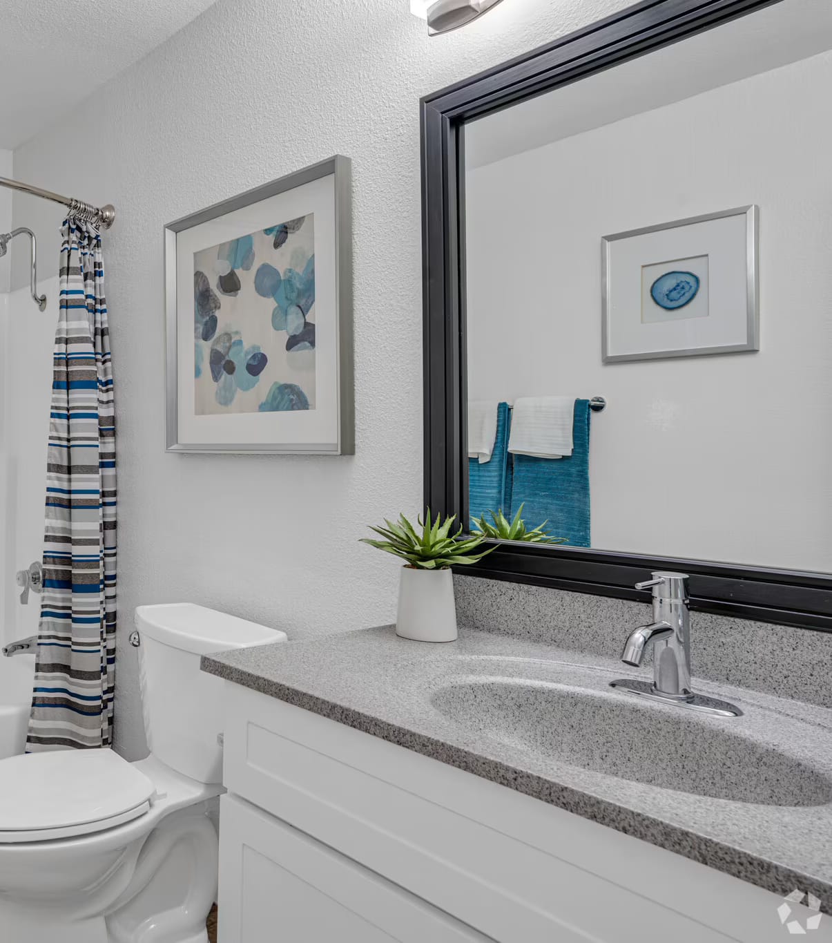 Obsidian Oak Mirror Frame