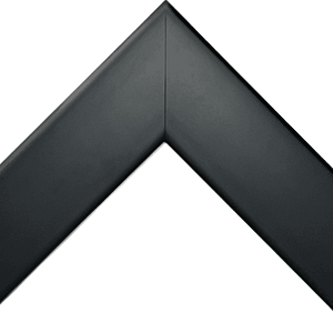 Elegant Onyx